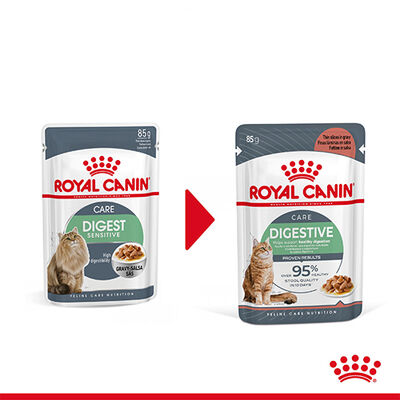 Royal Canin Pouch Gravy Digestive Hassas Kedi Maması 85 Gr - BOX - 12 Al 10 Öde