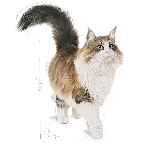 Royal Canin Pouch Gravy Instinctive Yaş Kedi Maması 85 Gr - 5