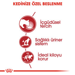 Royal Canin Pouch Gravy Instinctive Yaş Kedi Maması 85 Gr - Thumbnail