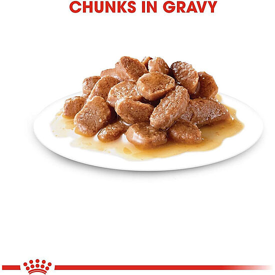Royal Canin BOX Pouch Gravy Hair Skin Hassas Tüylü Kedi Maması 85 Gr x 12 Adet - 4