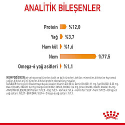 Royal Canin Pouch Gravy Hair Skin Hassas Tüylü Kedi Maması 85 Gr - 4