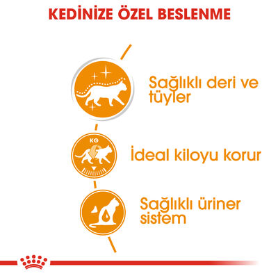 Royal Canin Pouch Gravy Hair Skin Hassas Tüylü Kedi Maması 85 Gr