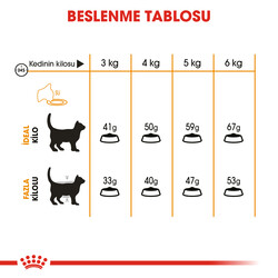 Royal Canin Hair Skin Hassas Tüylü Kedi Maması 2 Kg + Temizlik Mendili - Thumbnail