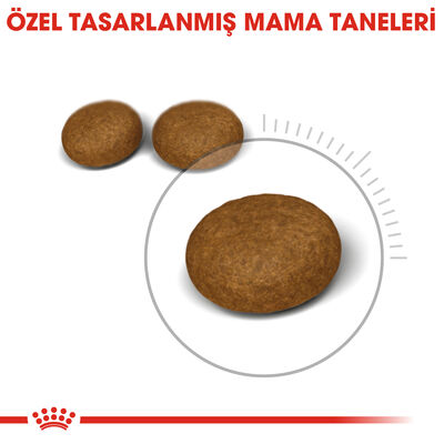 Royal Canin Hair Skin Kit Tüy Temizleyici Hediyeli Hassas Tüylü Kedi Maması 2 Kg - 8