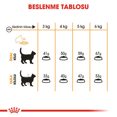 Royal Canin Hair Skin Kit Tüy Temizleyici Hediyeli Hassas Tüylü Kedi Maması 2 Kg - 7