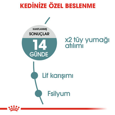 Royal Canin Hairball Tüy Yumağı Kontrolü Kedi Maması 2 Kg + Temizlik Mendili - 3