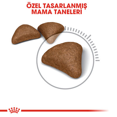 Royal Canin Hairball Tüy Yumağı Kontrolü Kedi Maması 2 Kg + Temizlik Mendili - 6