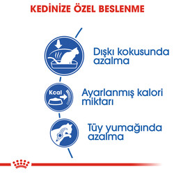 Royal Canin Indoor Ev Kedileri İçin Kedi Maması 2 Kg x 2 Adet + Temizlik Mendili - 3