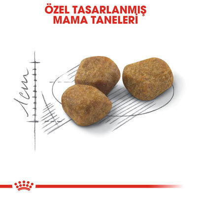 Royal Canin Indoor +7 Ev Kedileri için Yaşlı Kedi Maması 1,5 Kg + 5 Adet Wooc Lolipop Ödül - 8