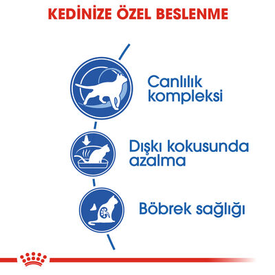 Royal Canin Indoor +7 Ev Kedileri için Yaşlı Kedi Maması 1,5 Kg + Temizlik Mendili