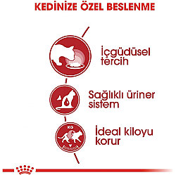 Royal Canin Pouch Jelly Instinctive Yaş Kedi Maması 85 Gr - Royal Canin (1)