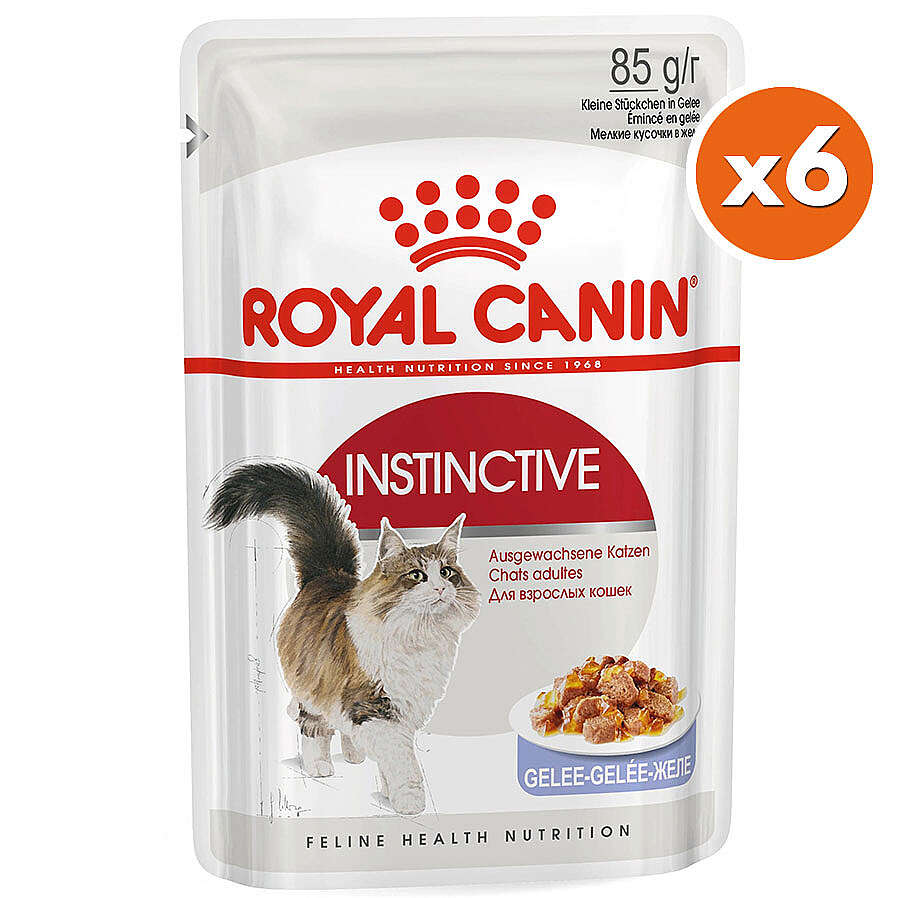Royal Canin Pouch Jelly Instinctive Yaş Kedi Maması 85 Gr x 6 Adet