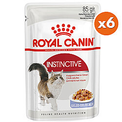 Royal Canin Pouch Jelly Instinctive Yaş Kedi Maması 85 Gr x 6 Adet - Royal Canin