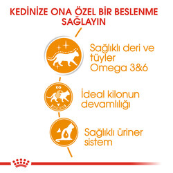 Royal Canin Pouch Jelly Hair Skin Hassas Tüylü Kedi Maması 85 Gr - BOX - 12 Al 10 Öde - Thumbnail