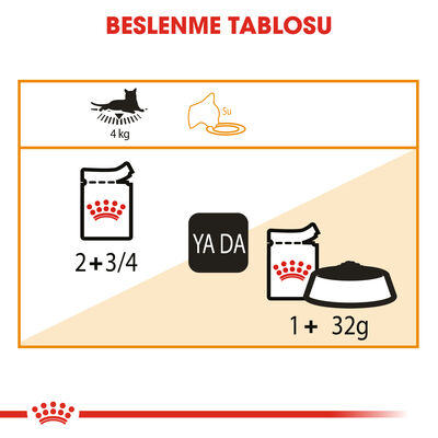 Royal Canin Pouch Jelly Hair Skin Hassas Tüylü Yaş Kedi Maması 85 Gr - 4
