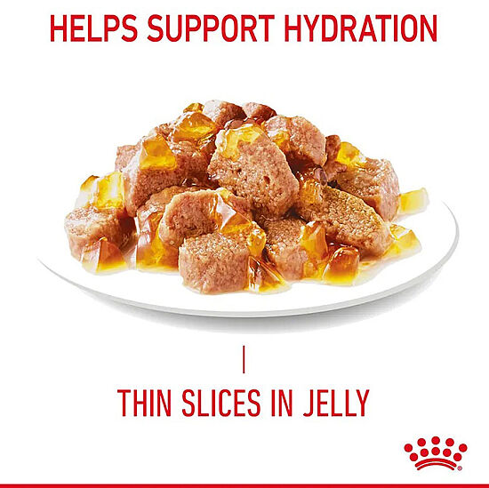 Royal Canin Pouch Jelly Hair Skin Hassas Tüylü Yaş Kedi Maması 85 Gr - 11