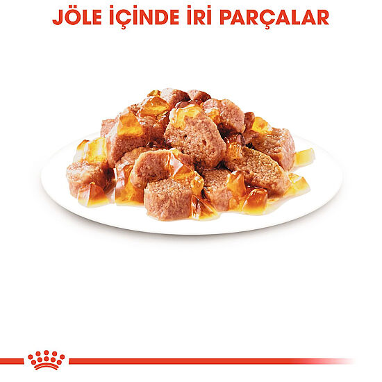 Royal Canin Pouch Jelly Hair Skin Hassas Tüylü Yaş Kedi Maması 85 Gr - 3