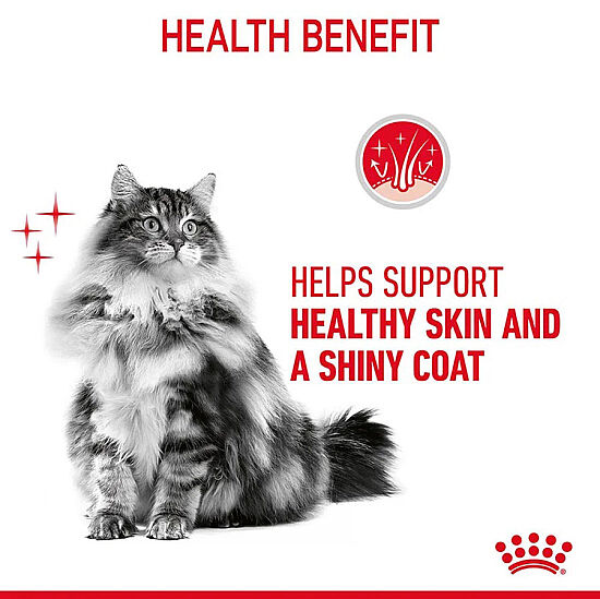Royal Canin Pouch Jelly Hair Skin Hassas Tüylü Yaş Kedi Maması 85 Gr x 6 Adet - 11