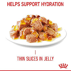 Royal Canin Pouch Jelly Hair Skin Hassas Tüylü Yaş Kedi Maması 85 Gr x 6 Adet - 12