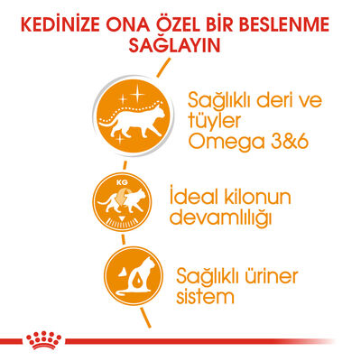 Royal Canin Pouch Jelly Hair Skin Hassas Tüylü Kedi Maması 85 Gr - 6 Al 5 Öde