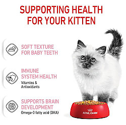 Royal Canin BOX Pouch Jelly Kitten Instinctive Yaş Yavru Kedi Maması 85 Gr x 12 Adet - 15