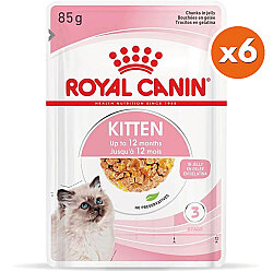 Royal Canin Pouch Jelly Kitten Instinctive Yaş Yavru Kedi Maması 85 Gr x 6 Adet - Royal Canin