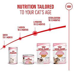 Royal Canin Pouch Jelly Kitten Instinctive Yaş Yavru Kedi Maması 85 Gr x 6 Adet - 8