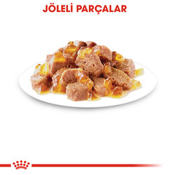 Royal Canin Pouch Jelly Sterilised Kısırlaştırılmış Yaş Kedi Maması 85 Gr - BOX - x 12 Adet - Thumbnail