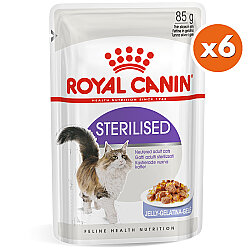 Royal Canin Pouch Jelly Sterilised Kısırlaştırılmış Yaş Kedi Maması 85 Gr x 6 Adet - Royal Canin