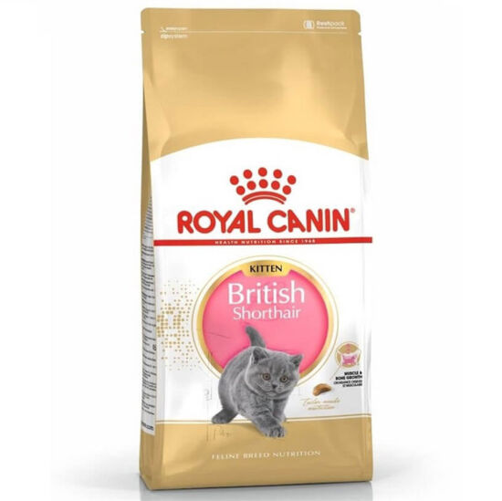 Royal Canin Kitten British Shorthair Yavru Irk Kedi Maması 2 Kg + 5 Adet Wooc Lolipop Ödül - 2