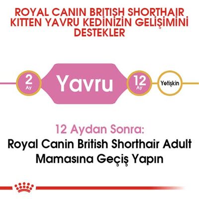 Royal Canin Kitten British Shorthair Yavru Irk Kedi Maması 2 Kg + 5 Adet Wooc Lolipop Ödül - 5