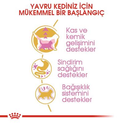 Royal Canin Kitten British Shorthair Yavru Irk Kedi Maması 2 Kg + 5 Adet Wooc Lolipop Ödül - 4