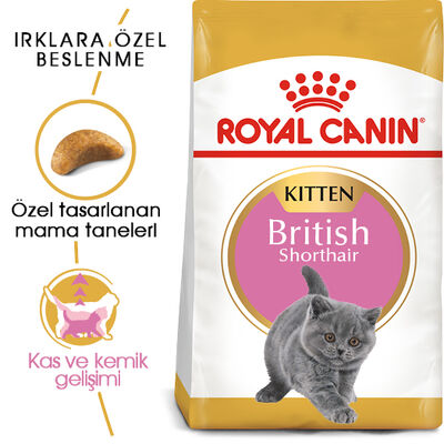Royal Canin Kitten British Shorthair Yavru Irk Kedi Maması 2 Kg + 5 Adet Wooc Lolipop Ödül - 3