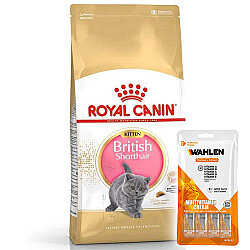Royal Canin Kitten British Shorthair Yavru Irk Kedi Maması 2 Kg + 1 Paket Wahlen Multivitamin 4x15 Gr - Royal Canin