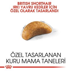 Royal Canin Kitten British Shorthair Yavru Irk Kedi Maması 2 Kg + Temizlik Mendili - Thumbnail