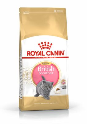 Royal Canin Kitten British Shorthair Yavru Irk Kedi Maması 2 Kg + Temizlik Mendili