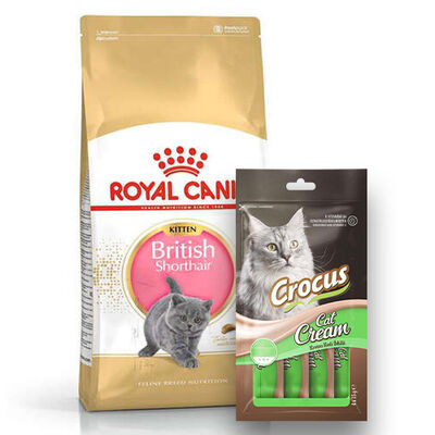 Royal Canin Kitten British Shorthair Yavru Irk Kedi Maması 2 Kg + Crocus Cream Ödül 4x15 Gr
