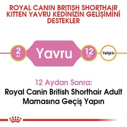 Royal Canin Kitten British Shorthair Yavru Irk Kedi Maması 2 Kg x 2 Adet + Temizlik Mendili - 4