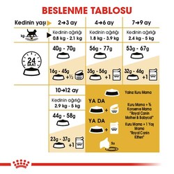 Royal Canin Kitten British Shorthair Yavru Irk Kedi Maması 2 Kg x 2 Adet + Temizlik Mendili - 6