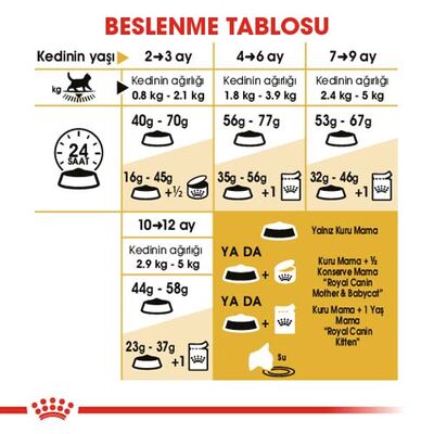 Royal Canin Kitten British Shorthair Yavru Irk Kedi Maması 2 Kg x 2 Adet + Temizlik Mendili - 6