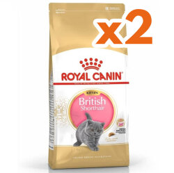 Royal Canin Kitten British Shorthair Yavru Irk Kedi Maması 2 Kg x 2 Adet + Temizlik Mendili - Royal Canin
