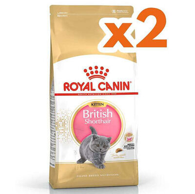 Royal Canin Kitten British Shorthair Yavru Irk Kedi Maması 2 Kg x 2 Adet