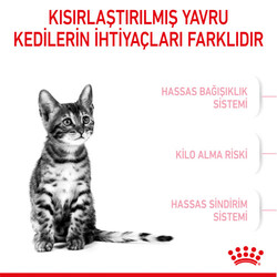 Royal Canin Kitten Sterilised Kısırlaştırılmış Yavru Kedi Maması 2 Kg + Temizlik Mendili - Thumbnail