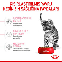 Royal Canin Kitten Sterilised Kısırlaştırılmış Yavru Kedi Maması 2 Kg + Temizlik Mendili - Thumbnail