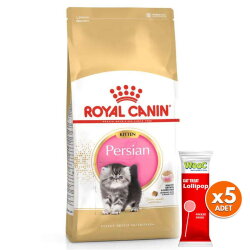 Royal Canin Kitten Persian Yavru İran Irk Maması 2 Kg + 5 Adet Wooc Lolipop Ödül - Royal Canin