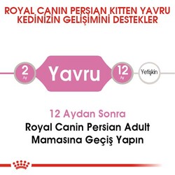 Royal Canin Kitten Persian Yavru İran Irk Maması 2 Kg x 2 Adet + Temizlik Mendili - 4