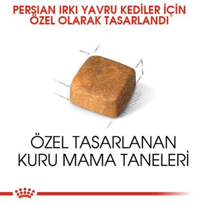 Royal Canin Kitten Persian Yavru İran Irk Maması 2 Kg x 2 Adet + Temizlik Mendili - 7
