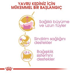 Royal Canin Kitten Persian Yavru İran Irk Maması 2 Kg x 2 Adet + Temizlik Mendili - 3