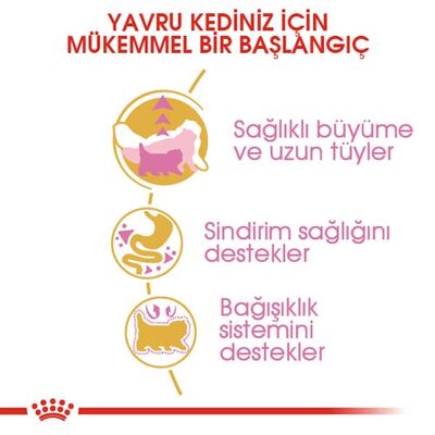Royal Canin Kitten Persian Yavru İran Irk Maması 2 Kg x 2 Adet + Temizlik Mendili - 3