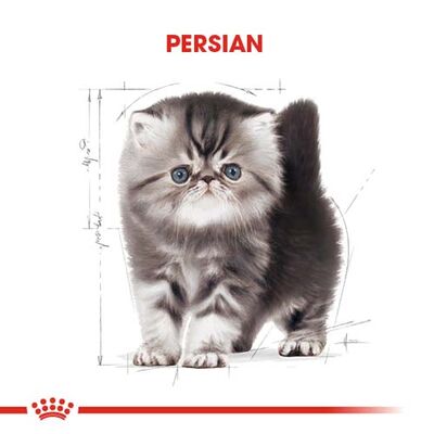 Royal Canin Kitten Persian Yavru İran Irk Maması 2 Kg x 2 Adet + Temizlik Mendili - 8